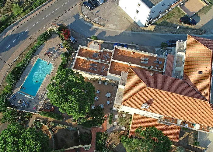 Le Saint Erasme