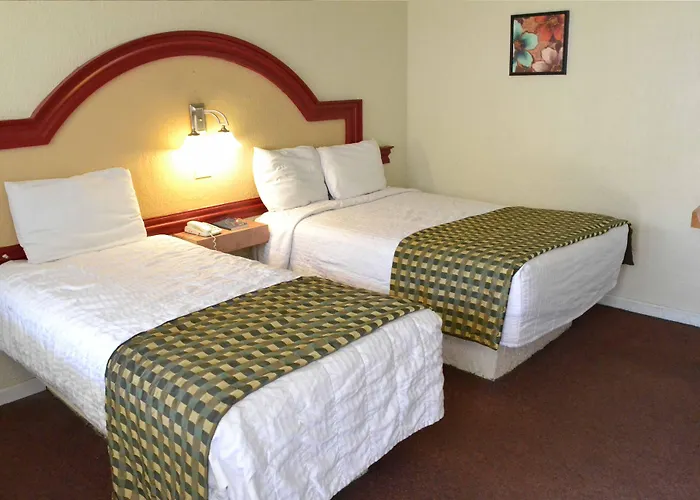 Hotel Flamingo