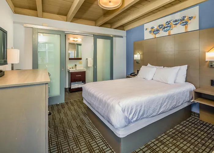 Silicon Valley Inn