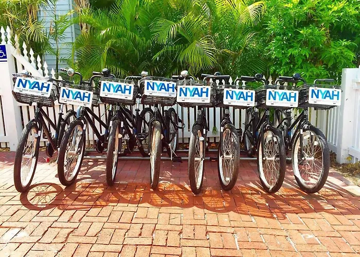 Nyah - Adult Exclusive