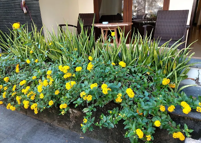 Radha Bali Hotel