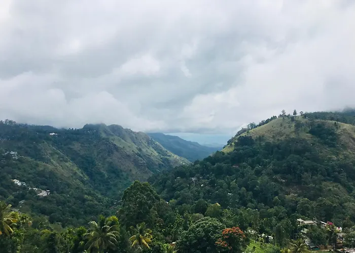 Ella Hide View