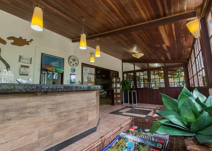 Dolphin Hotel