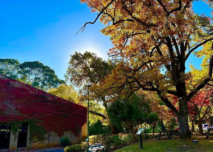 The Grand Oaks Resort