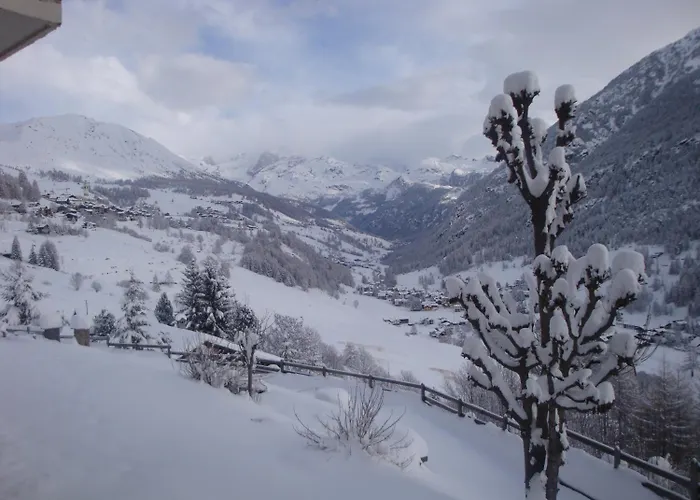 Hotel Alpe Fleurie