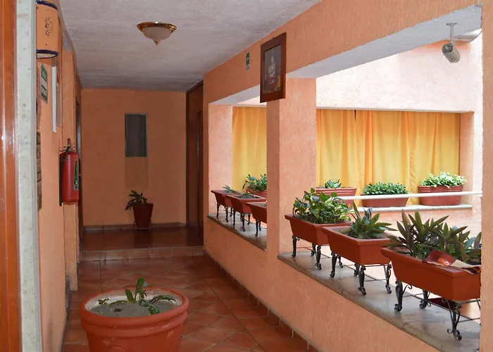 Hotel La Rienda Mision Tequillan