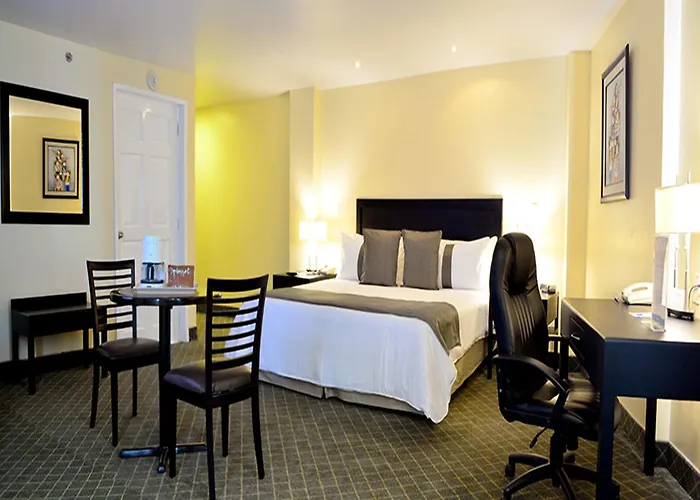 Mision Express Pachuca