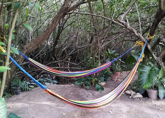Manglar Pacific