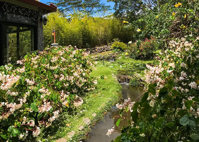 El Oasis Hotel y Restaurante