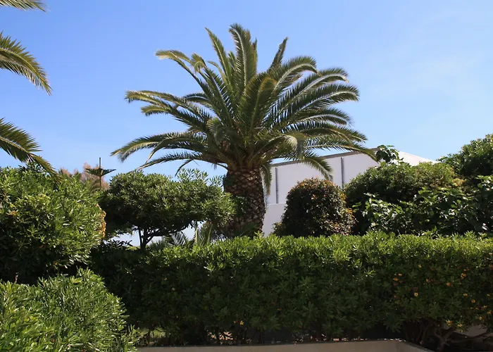Hotel Villaggio Club Altalia