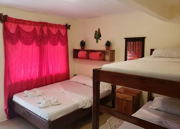 Cabinas Pura Vida B&B&Tour Operator