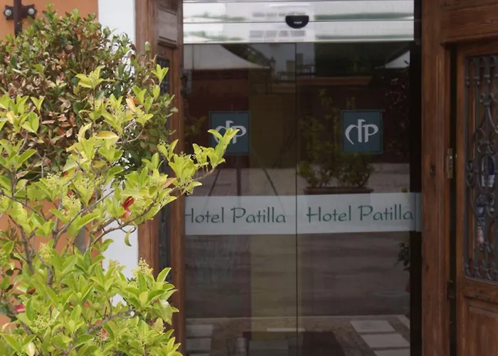 Hotel Patilla Ciudad De Requena