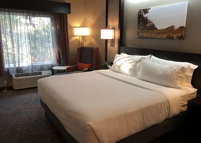 Holiday Inn Windsor - Wine Country By Ihg