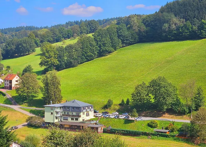 Hotel Grüner Baum mit Restaurant&Wellness