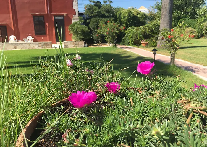 Oasis Guesthouse