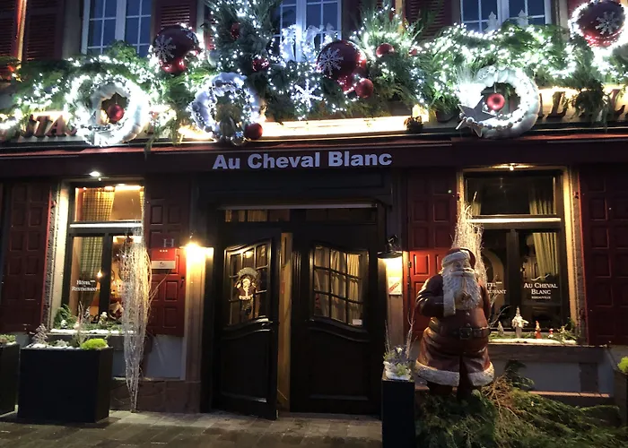 Hotel Spa Au Cheval Blanc - Chambres Climatisees