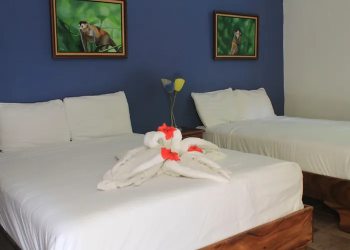 La Posada Jungle Hotel