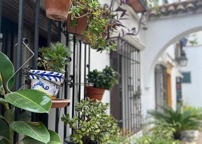 Nueva Cordoba Juderia