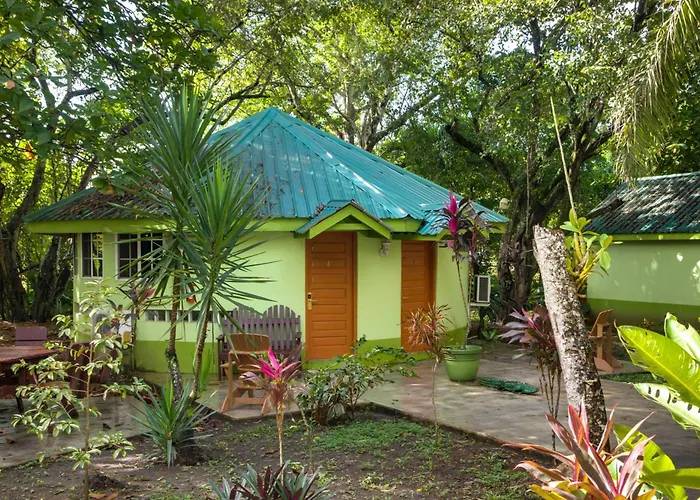 Midas Belize