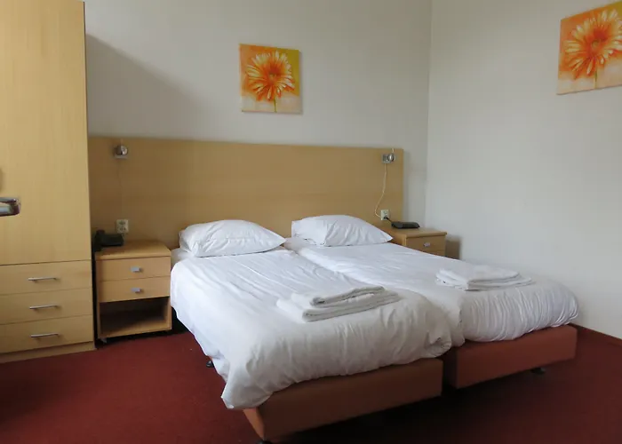 Hotel American