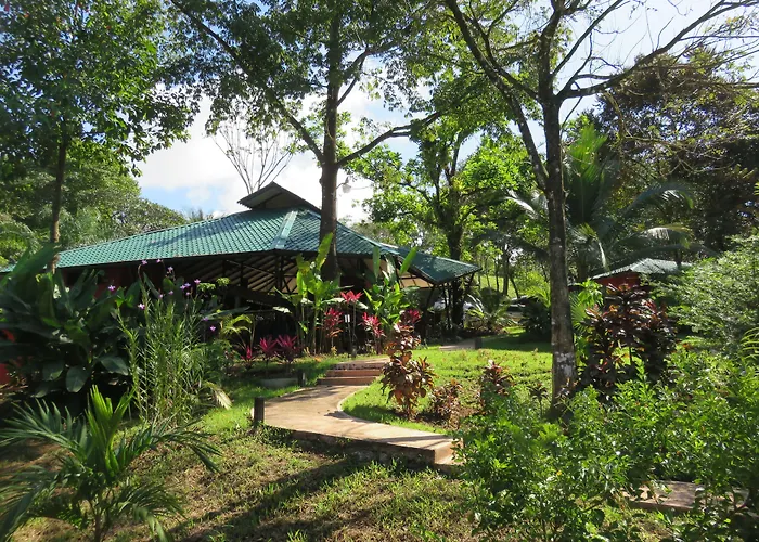 Oasis De Las Palmas