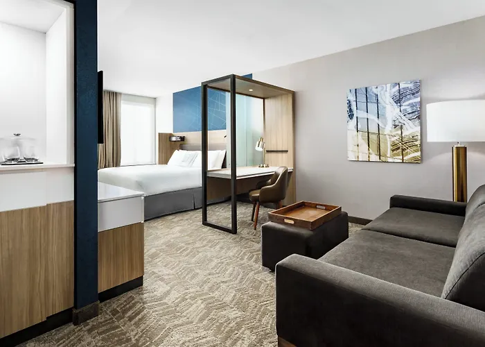 Springhill Suites By Marriott Belmont Redwood Shores
