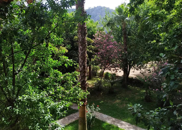 Olympos Yavuz Hotel