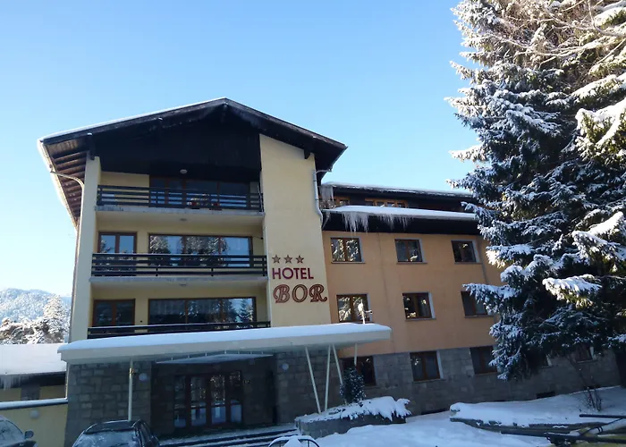 Hotel Bor