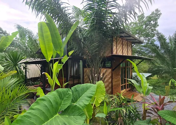 Tee Bungalow In The Jungle