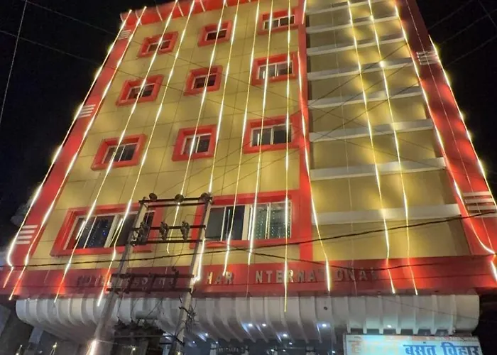 Hotel Basant Vihar International