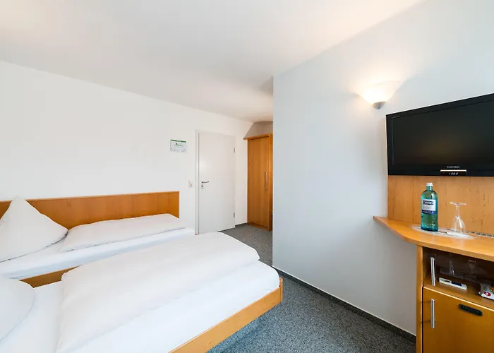 Hotel Vater Rhein