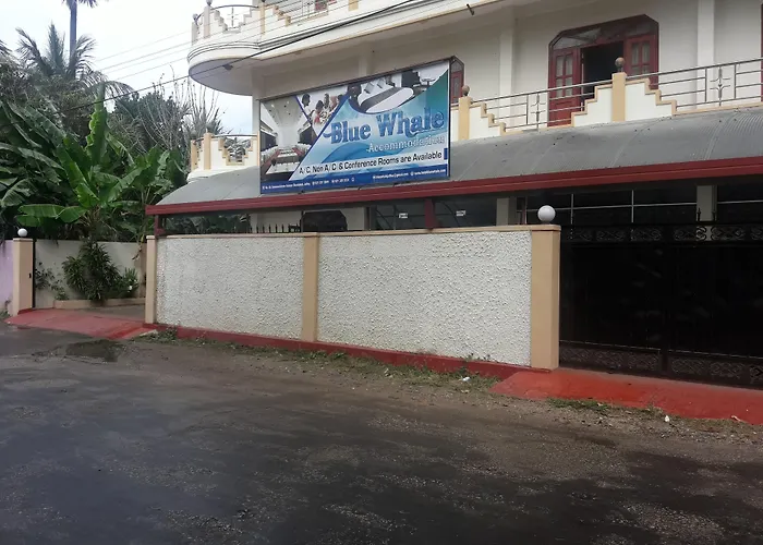 Blue Whale Hotel