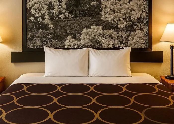 Mho Hotel Dover