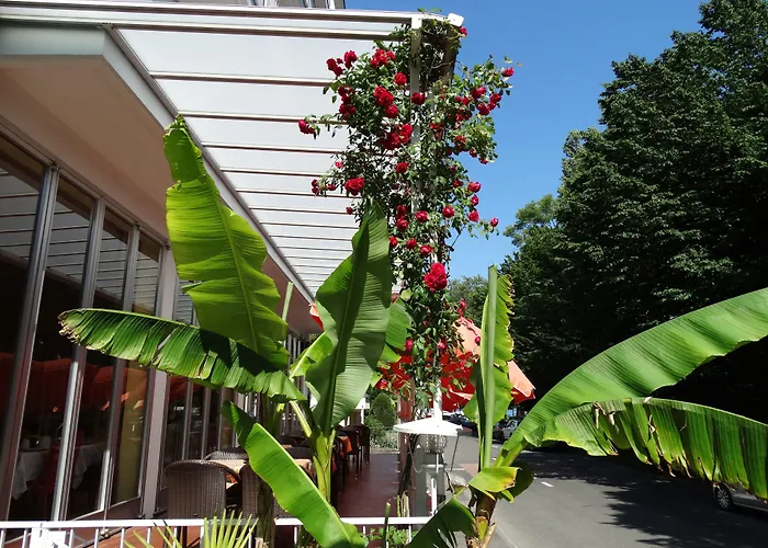 Hotel Excelsior