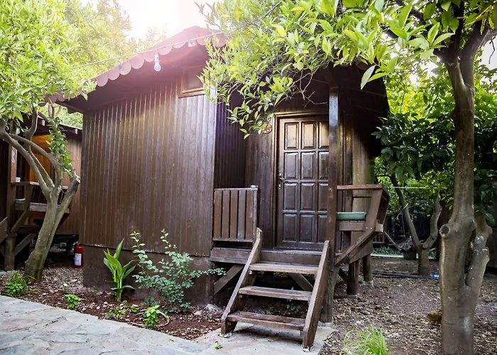 Base Bungalows