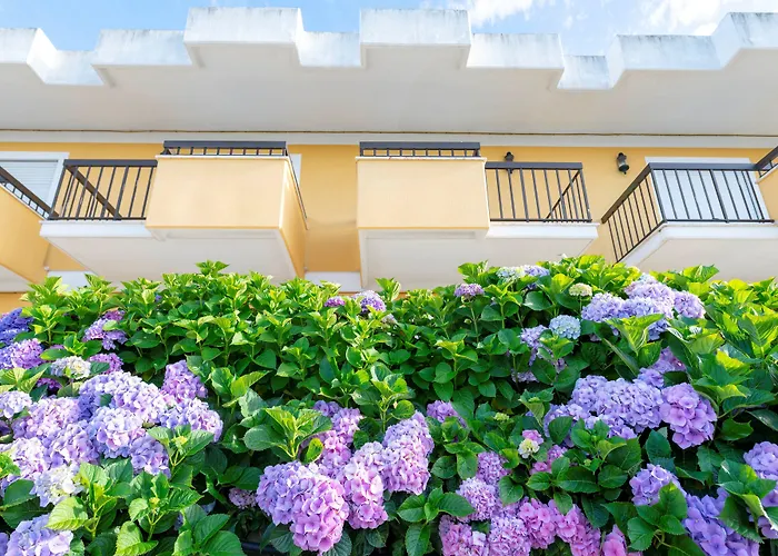 D. Afonso Hotel & Spa