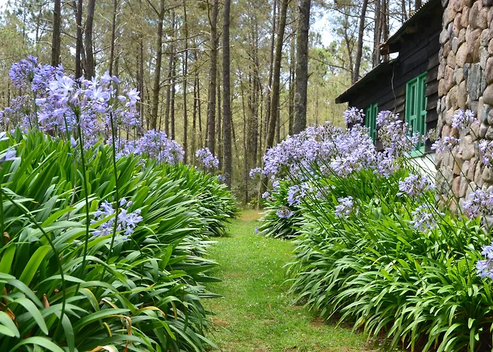 Villa Pajon Eco Lodge