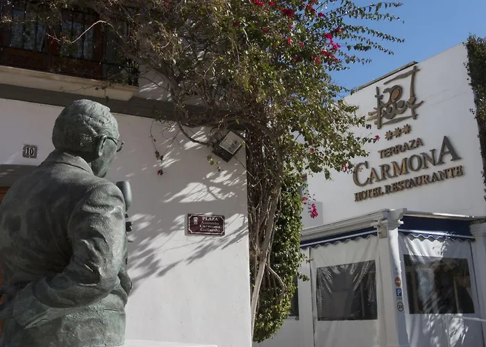 Hotel Terraza Carmona