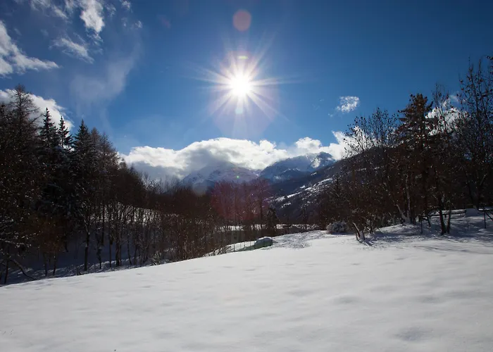 Etoile des Neiges