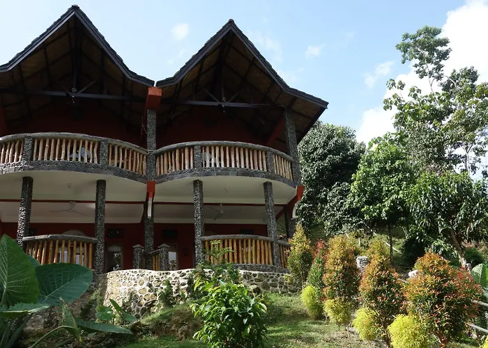 Hotel Orangutan