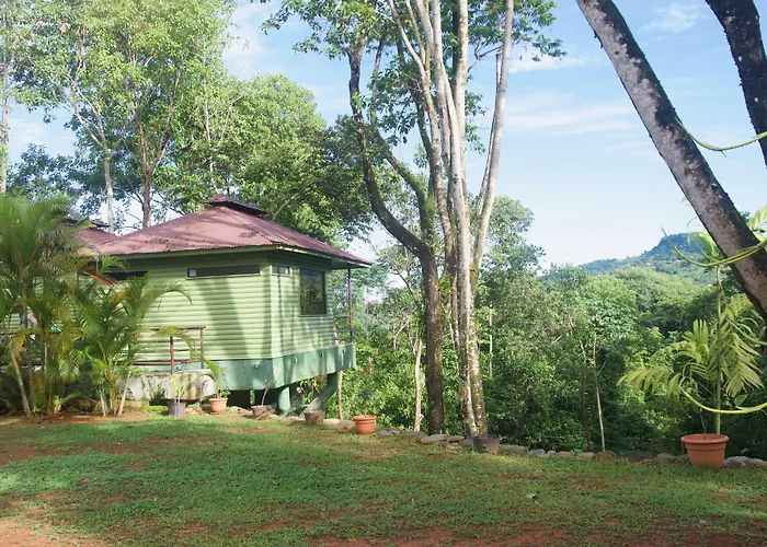 Arbol Verde Villas