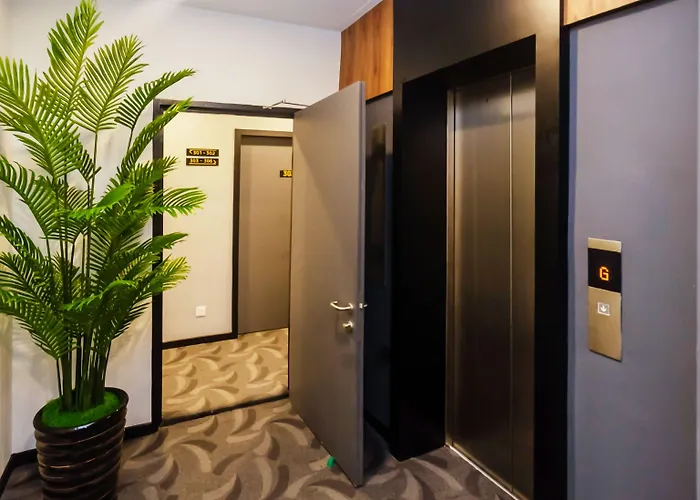 Solid Hotels