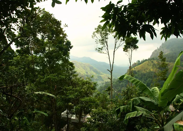 Wonderland View