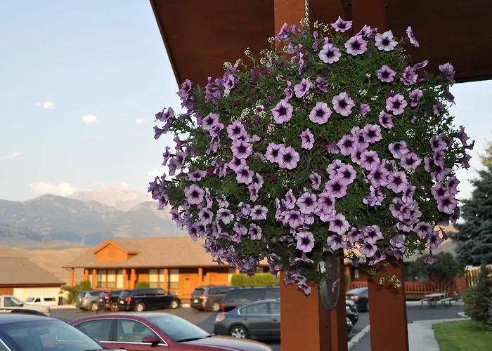 Yellowstone Village Inn And Suites