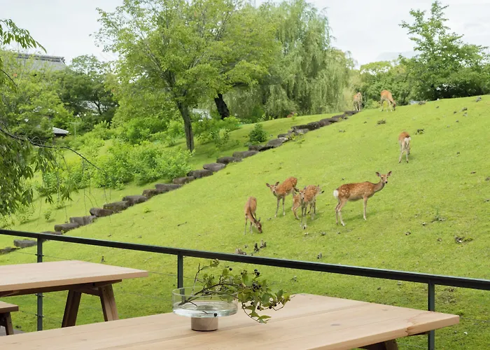 Miroku Nara By The Share Hotels