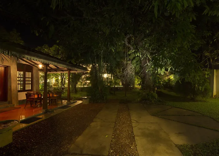 Bilin Tree House