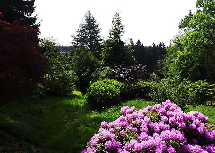 Green Corner Nürburg