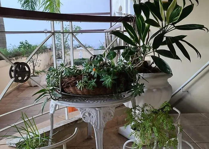 Vitoria Garden