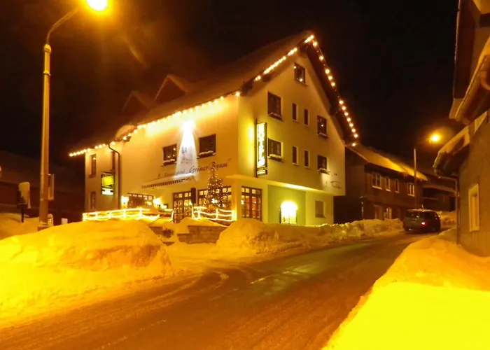 Rennsteighotel Grüner Baum