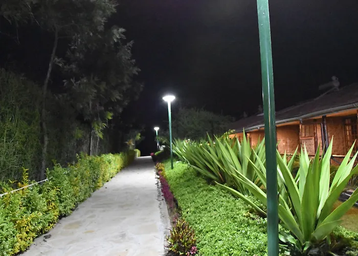 Starling Bird Resort